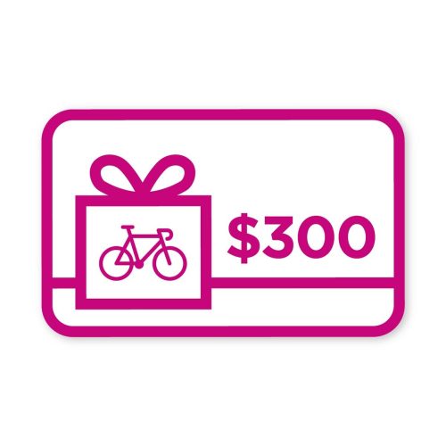 Digital Gift Card 300